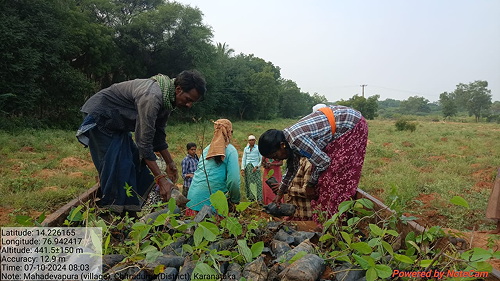 Impact Project Image